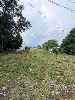 Plot of land 1000 m² · Đường Trung An