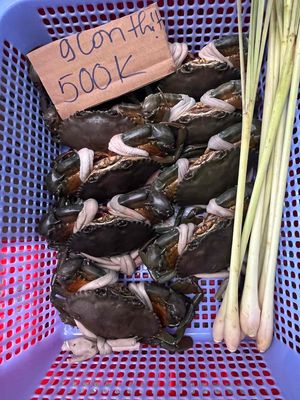 cua cà mau bao ăn tặng khô đù 1 nắng. Mua bán Đồ ăn, thực phẩm và các loại khác tại Quận Bình Tân Tp Hồ Chí Minh được đăng bởi ĐẶC SẢN CÀ MAU 