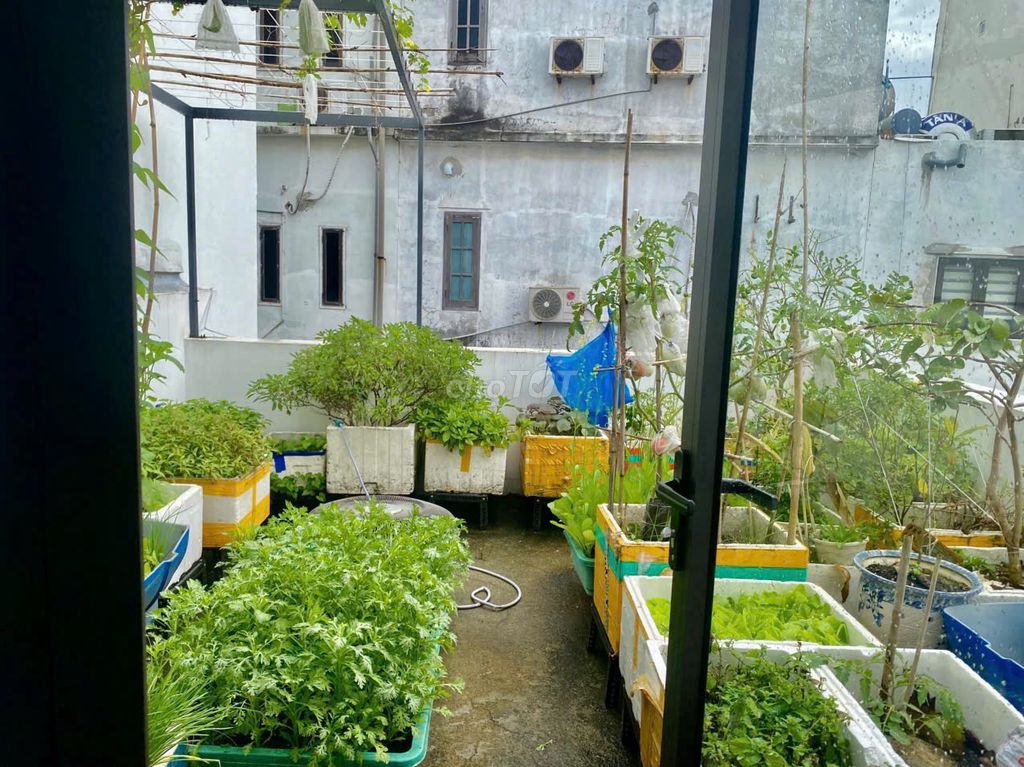 Cho thuê nhà 3 phòng ngủ tại Ngũ Hành Sơn, Đà Nẵng — ảnh 4
