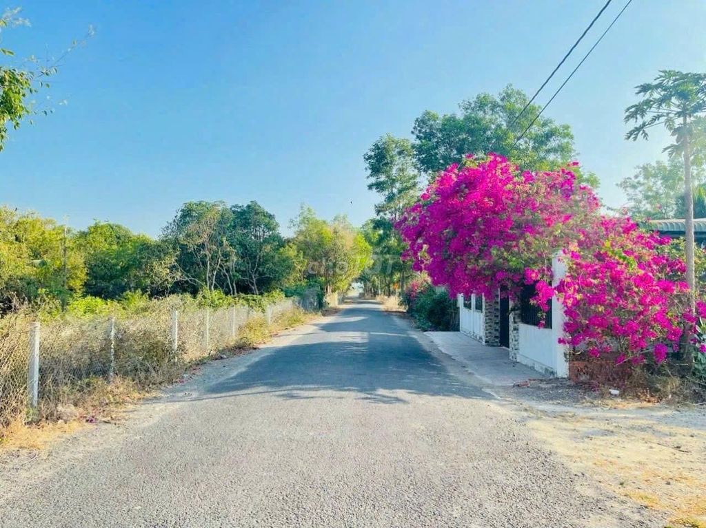 Bán 597m2 đất Thị Trấn Phước Hải, cạnh Tỉnh Lộ 44B. Mua bán đất tại Huyện Đất Đỏ Bà Rịa - Vũng Tàu được đăng bởi Trần Thị Thơm hình 1