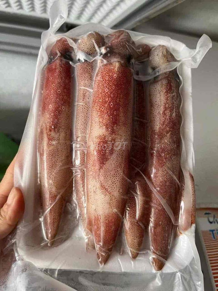 Mực ống nháy câu size 8-12 con/kg.