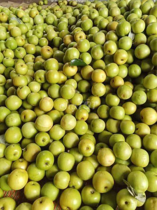 Táo Xanh Tươi Giòn Chua Ngọt. Mua bán Đồ ăn, thực phẩm và các loại khác tại Thành phố Thuận An Bình Dương được đăng bởi Hiếu Phí hình 1