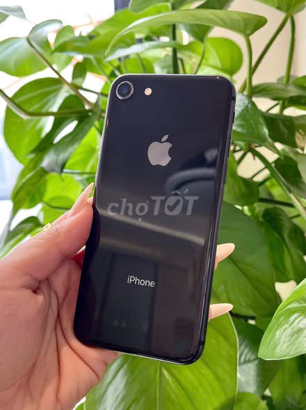 Apple iPhone 8 256GB Đen 100%. Mua bán Điện thoại tại Quận 1 Tp Hồ Chí Minh được đăng bởi Hội Đồ Điện Tử hình 1