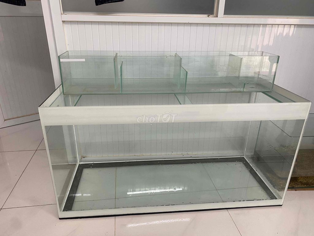 Hồ cá Kính Trắng 1m Lọc tràn trên. Mua bán Phụ kiện, Thức ăn, Dịch vụ tại Quận Gò Vấp Tp Hồ Chí Minh được đăng bởi hanhnguyen hình 1