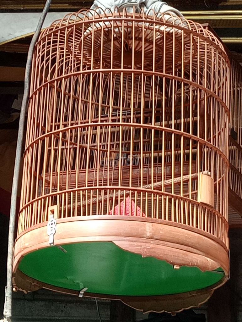 Lồng chim Gỗ Nhôm Tròn 68 Nâu Xanh. Mua bán Phụ kiện, Thức ăn, Dịch vụ tại Thành phố Sóc Trăng Sóc Trăng được đăng bởi hải p3 hình 1