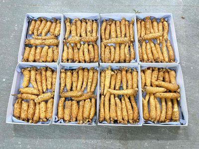 sâm trọc hàn quốc. Mua bán Đồ ăn, thực phẩm và các loại khác tại Quận Hà Đông Hà Nội được đăng bởi thu Huệ 