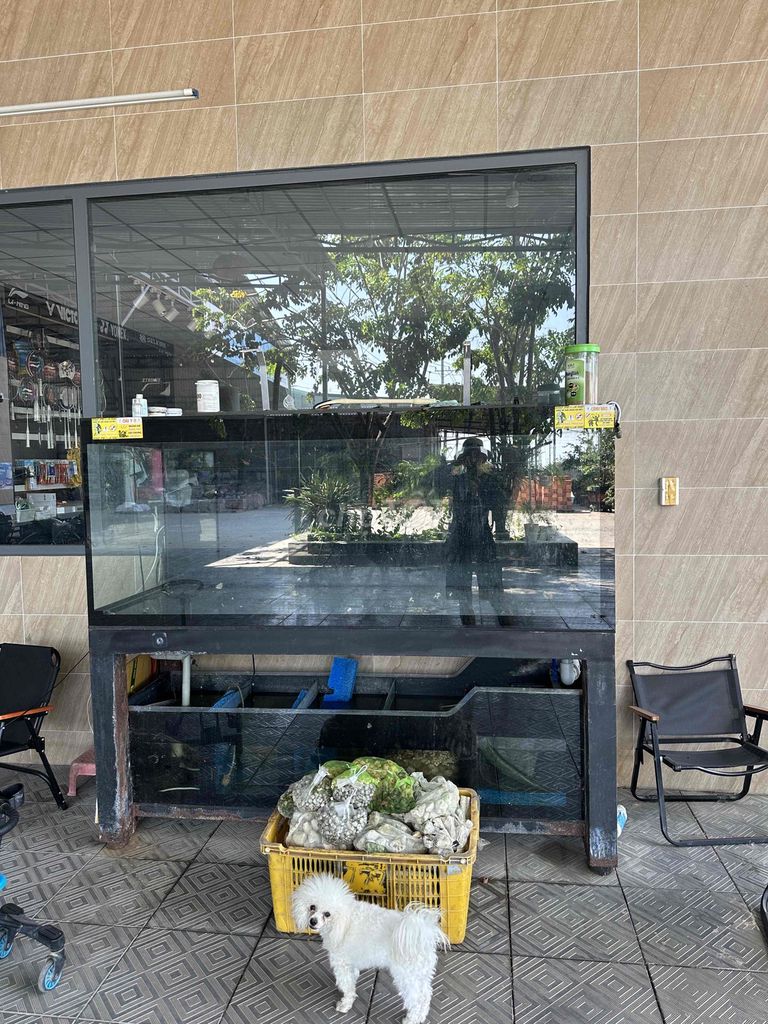 Hồ cá Kính. Mua bán Phụ kiện, Thức ăn, Dịch vụ tại Huyện Xuyên Mộc Bà Rịa - Vũng Tàu được đăng bởi duong quoc bang hình 1