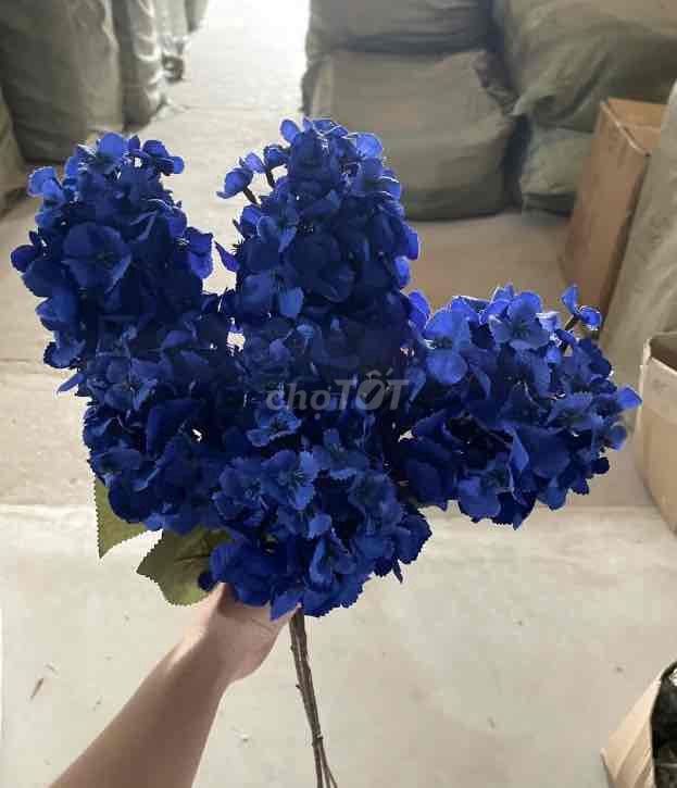 Cẩm tú cầu 2 nhánh. Mua bán Cây cảnh, đồ trang trí tại Huyện Gia Lâm Hà Nội được đăng bởi Nguyễn Thu Tuyết hình 1