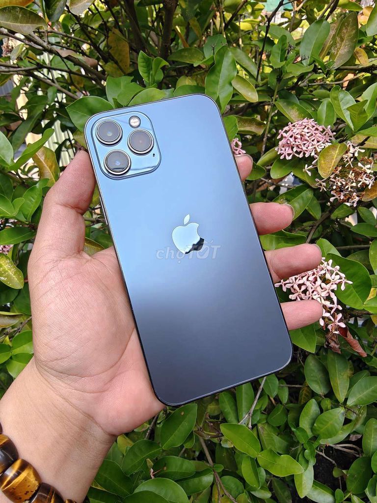 12 promax 256gb. Mua bán Điện thoại tại Huyện Châu Thành Sóc Trăng được đăng bởi Nhựt Trang hình 1