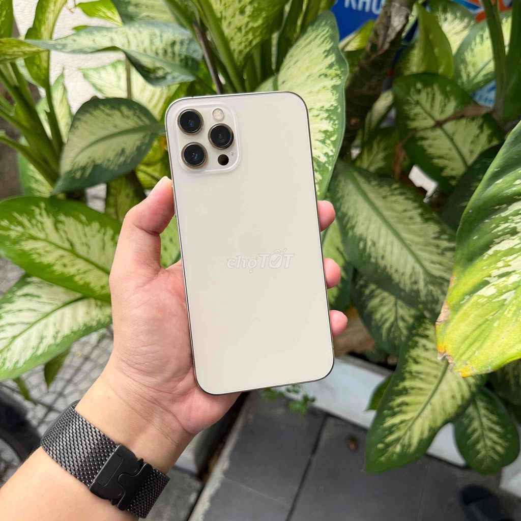Apple iPhone 12 Pro Max 128GB Vàng Quốc tế Mỹ. Mua bán Điện thoại tại Quận Thanh Khê Đà Nẵng được đăng bởi Nguyen Nhat hình 1