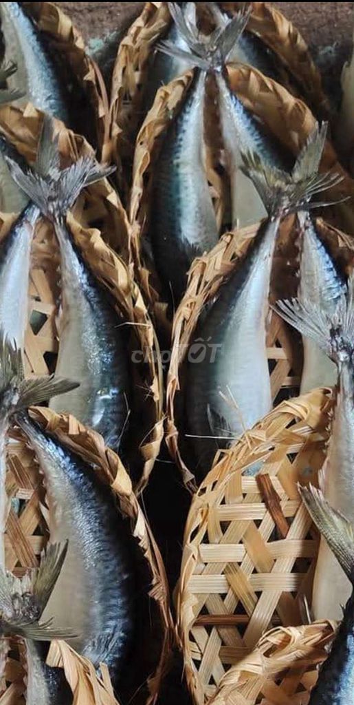 Cá hấp rổ tre, hàng hấp mỗi ngày. Mua bán Đồ ăn, thực phẩm và các loại khác tại Quận 12 Tp Hồ Chí Minh được đăng bởi hạnh chuyên cung cấp sỉ lẻ Lạp xưởng chả cá Nha Trang hình 1