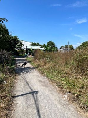 BÁN ĐẤT TRUNG TÂM XÃ TRUNG AN, CỦ CHI. Mua bán đất tại Huyện Củ Chi Tp Hồ Chí Minh được đăng bởi Thuy Do
