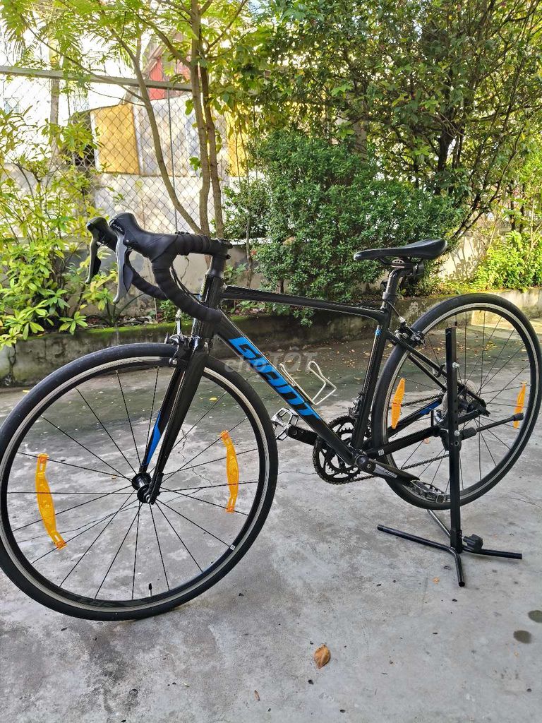 Xe đạp đua Giant Conten. Mua bán Xe đạp tại Quận Ninh Kiều Cần Thơ được đăng bởi nguyen thong hình 9