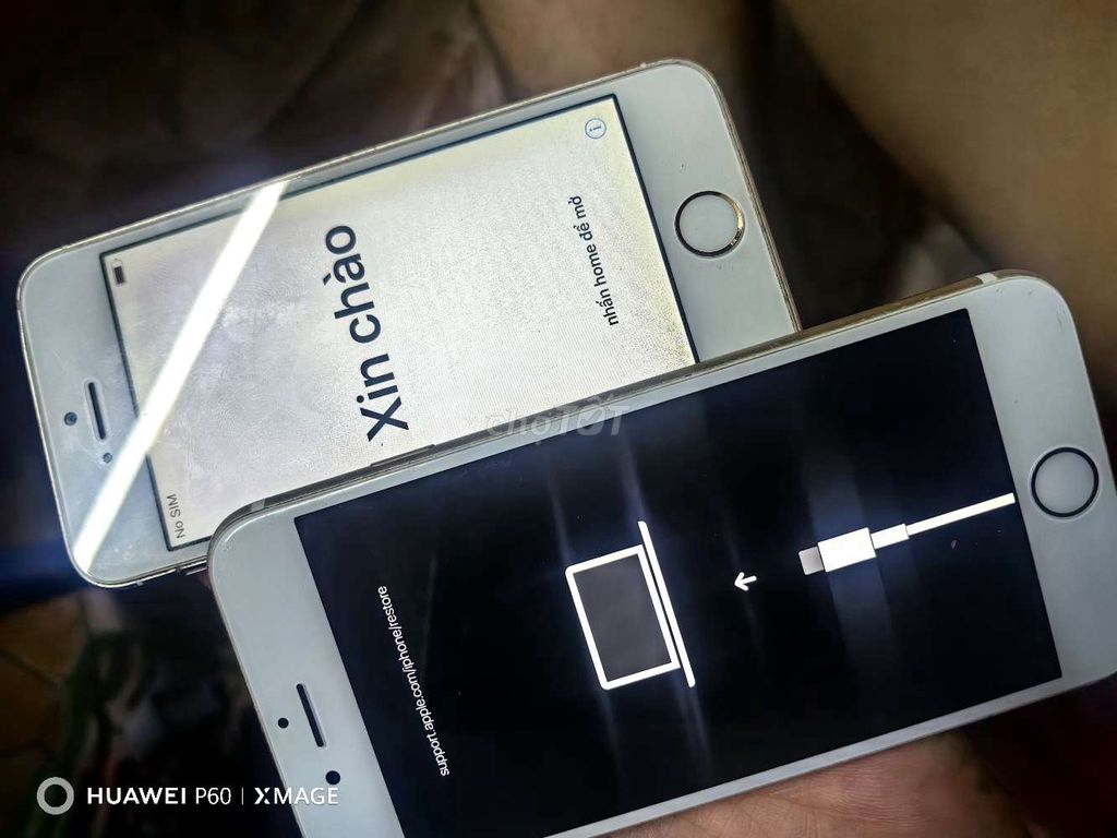 iPhone 5s và 6s Bạc Nhật Bản. Mua bán Điện thoại tại Quận Ngô Quyền Hải Phòng được đăng bởi kim chii hình 1