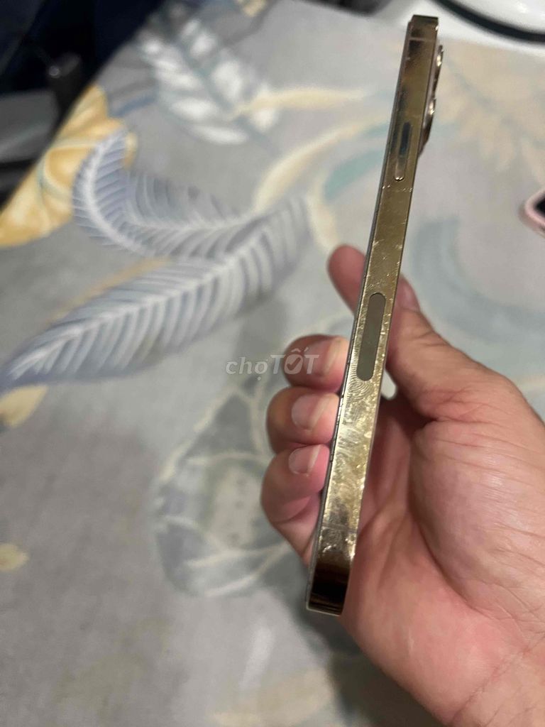 Apple iPhone 12 Pro Max Vàng Đã khóa iCloud. Mua bán Điện thoại tại Thành phố Thủ Đức Tp Hồ Chí Minh được đăng bởi khang nguyễn hình 1