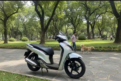 Honda SH Ý đầu 110 trắng