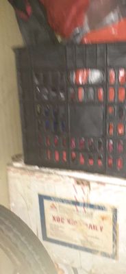 Rổ đựng bé mèo chó