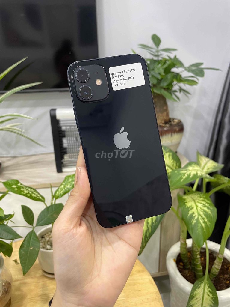 Apple iPhone 12 256GB Đen máy zin. Mua bán Điện thoại tại Huyện Hóc Môn Tp Hồ Chí Minh được đăng bởi Luân Hoài hình 1