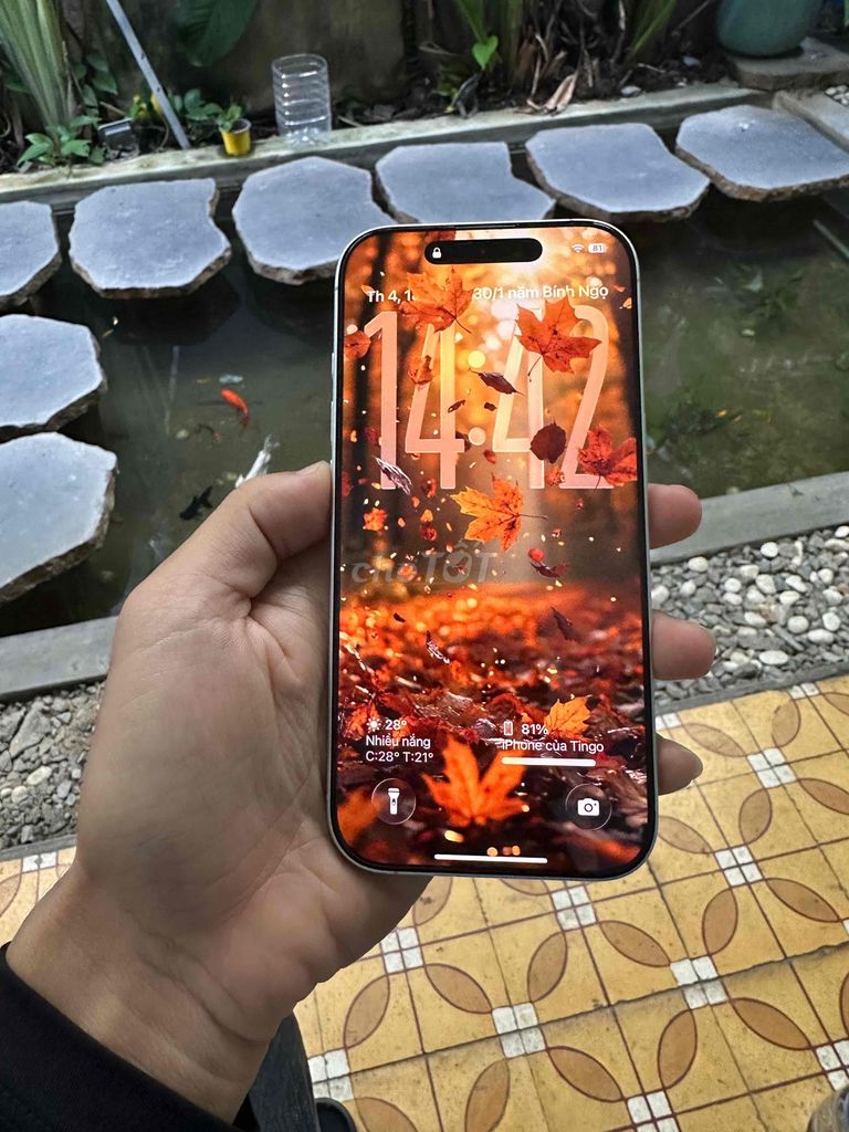 Apple iPhone 17 256GB Trắng Đã dùng. Mua bán Điện thoại tại Thành phố Qui Nhơn Bình Định được đăng bởi Lương công vũ hình 1