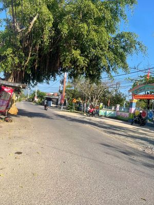 Đất 131m2 Full thổ cư Diên Lạc ngay HL39 Sổ Hồng Giá 1tỷ
