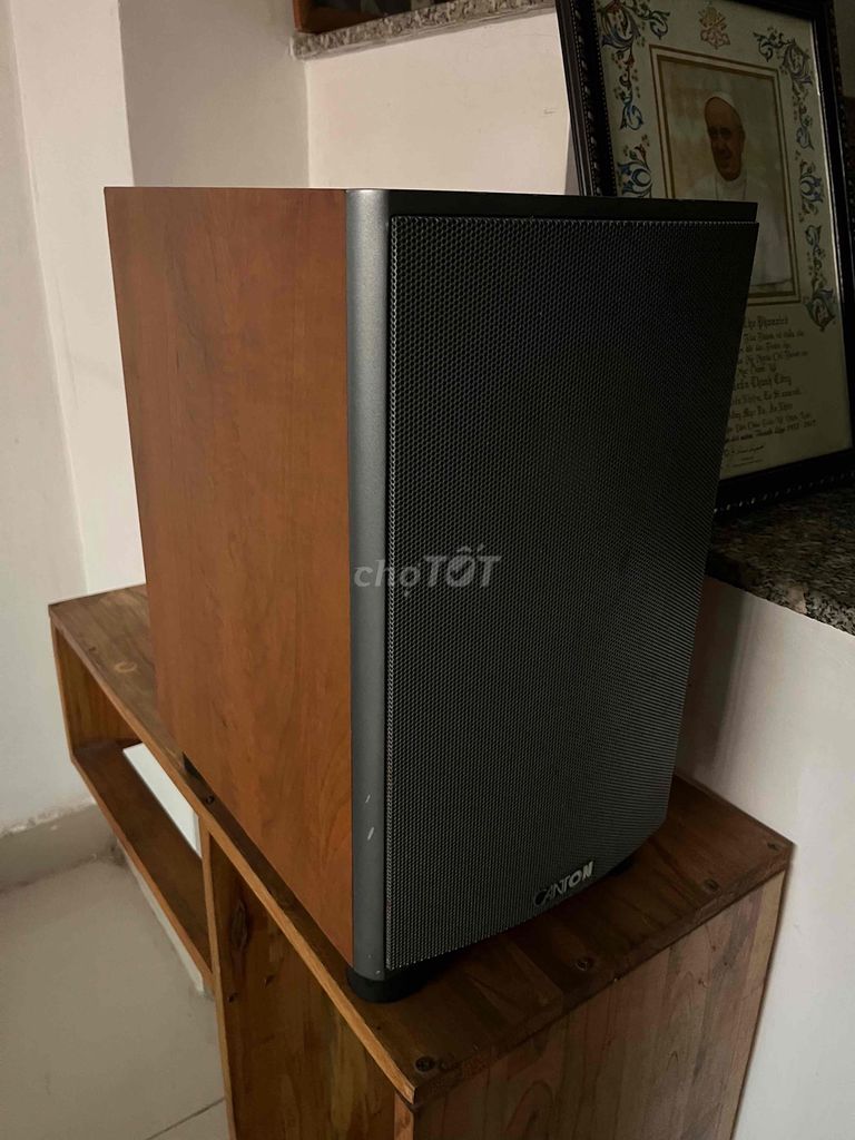 Loa siêu trầm Canton Nâu. Mua bán Tivi, Âm thanh tại Quận 3 Tp Hồ Chí Minh được đăng bởi DucTam hình 1