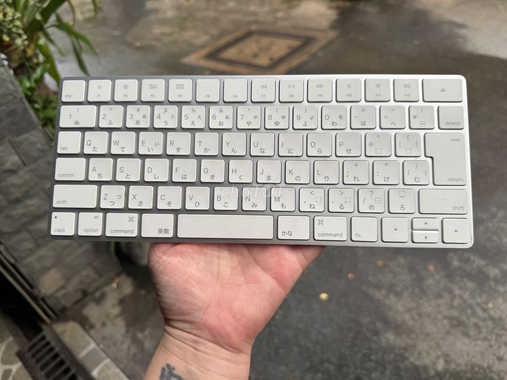 Bàn phím Apple Bạc. Mua bán Phụ kiện (Màn hình, Chuột...) tại Quận Gò Vấp Tp Hồ Chí Minh được đăng bởi Ngọc Mai hình 1