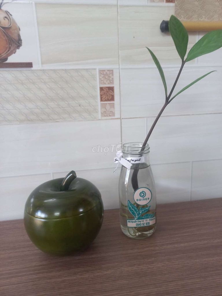 Táo Xinh Decor. Mua bán Sở thích khác tại Quận 12 Tp Hồ Chí Minh được đăng bởi Đồ Gỗ Quí Hằng hình 1