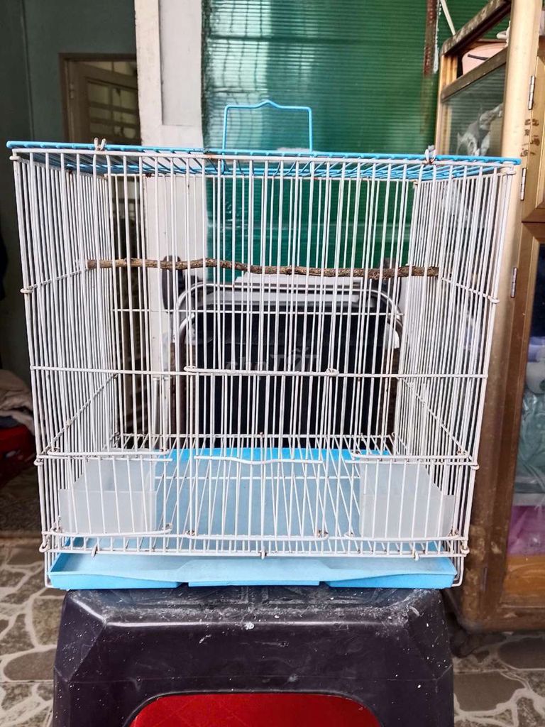 Lồng chim Kim loại. Mua bán Phụ kiện, Thức ăn, Dịch vụ tại Quận 7 Tp Hồ Chí Minh được đăng bởi hoang phuc hình 1