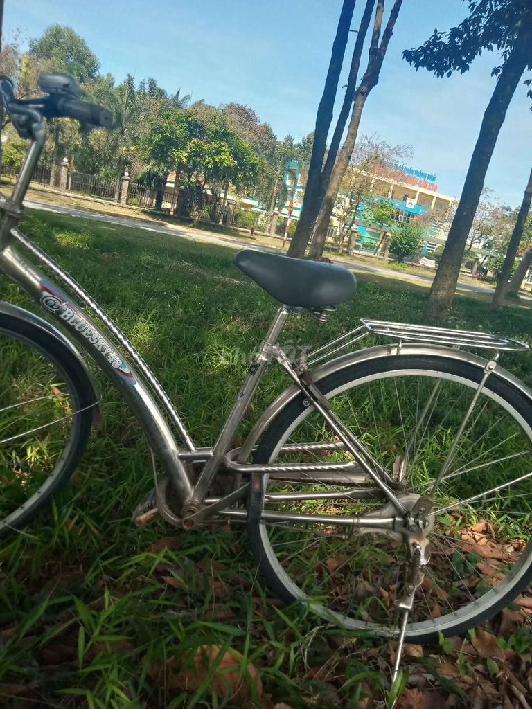 Xe đạp màu Bạc. Mua bán Xe đạp tại Thành phố Biên Hòa Đồng Nai được đăng bởi tran van tien hình 1