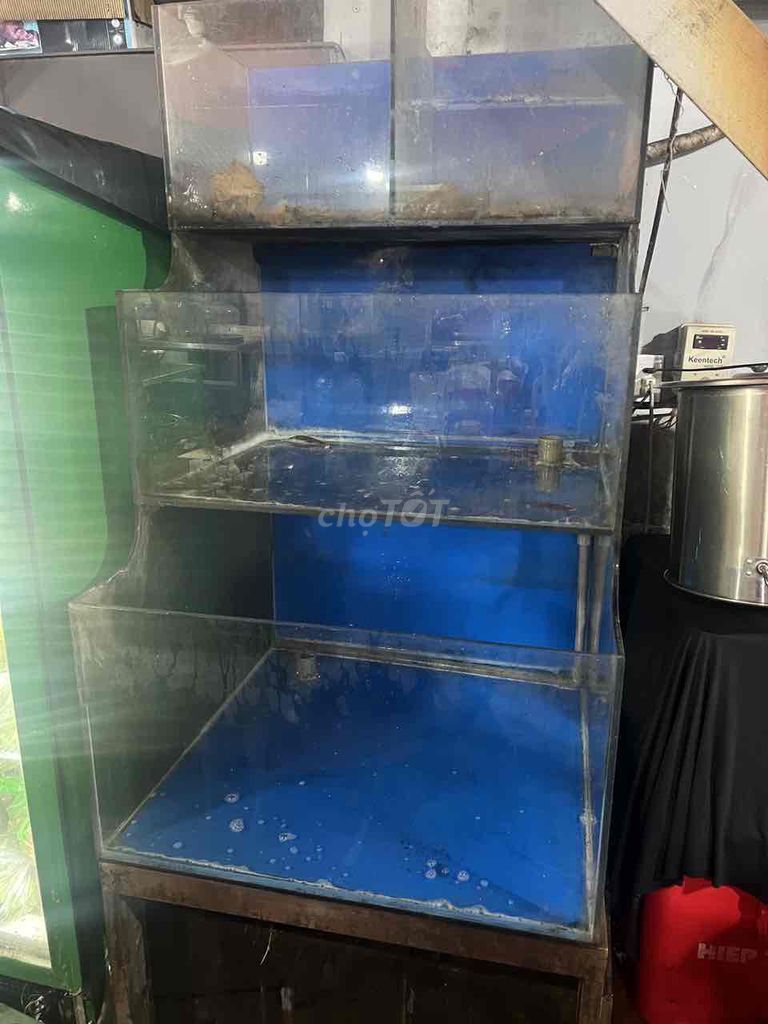 Hồ cá Kính Đầy đủ nước ngọt. Mua bán Thú cưng khác tại Quận 1 Tp Hồ Chí Minh được đăng bởi my  hình 1