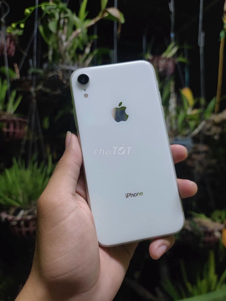 Apple iPhone Xr 64GB Trắng 100% pin. Mua bán Điện thoại tại Quận 1 Tp Hồ Chí Minh được đăng bởi Hội Đồ Điện Tử hình 1