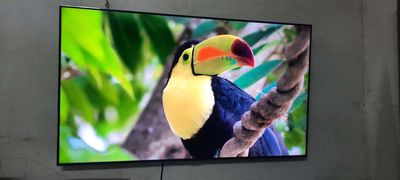Tivi 50inch. Mua bán Tivi, Âm thanh tại Thành phố Biên Hòa Đồng Nai được đăng bởi Hà