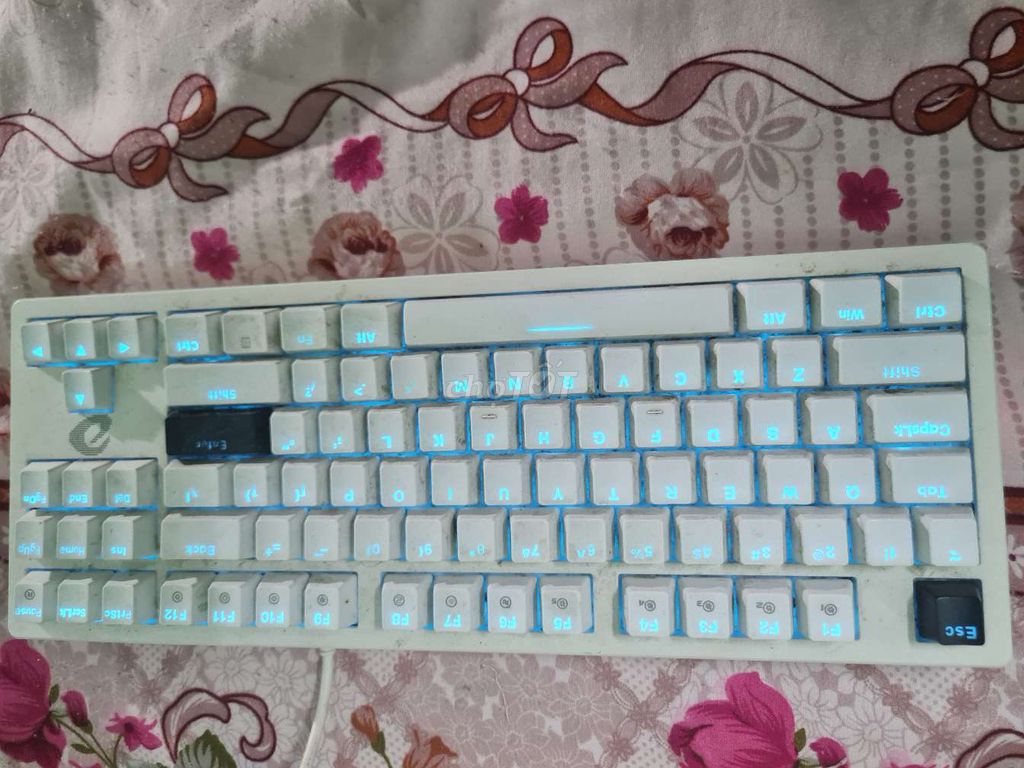 Bàn phím cơ DAREU Blue switch Trắng Mới đẹp rẻ ạ. Mua bán Phụ kiện (Màn hình, Chuột...) tại Quận 3 Tp Hồ Chí Minh được đăng bởi Sơn hình 1