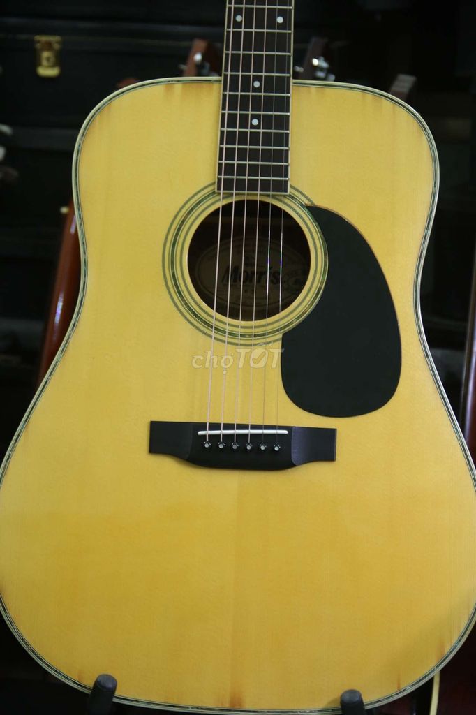 0943932358 - Morris W-25 acoustic guitar Nhật bãi đẹp long lanh