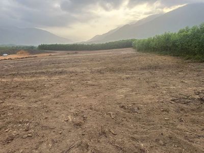 Đất  làm trang trại loại đât trồng cây lâu năm 10.000m2 bằng phẳng. Mua bán đất tại Huyện Hòa Vang Đà Nẵng được đăng bởi Datvuondanang