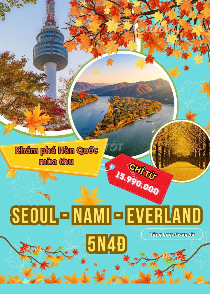 🇰🇷 SEOUL - NAMI - EVERLAND 5N4Đ 🇰🇷