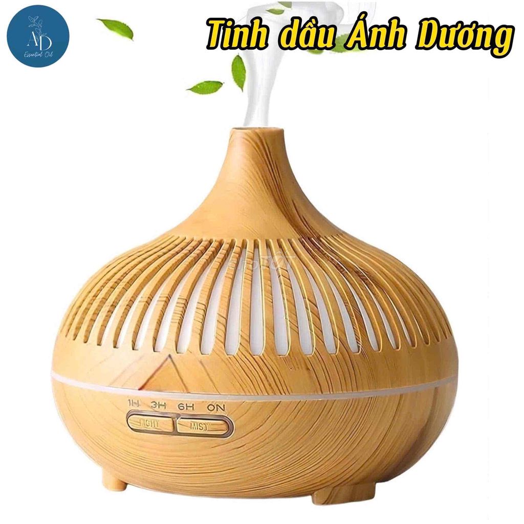 Đên xông Tinh dầu