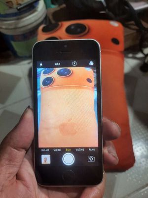 iPhone 5s 16GB Bạc
