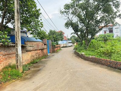 ĐẤT ĐẸP - GIÁ TỐT - Vị Trí Đắc Địa Thôn Ấp Tre, xã Quang Minh, Mê Lih. Mua bán đất tại Huyện Mê Linh Hà Nội được đăng bởi Tuyen Hoang