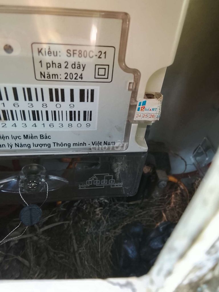 Chim Chèo Than non 10 con. Mua bán Chim tại Huyện Tân Kỳ Nghệ An được đăng bởi Tu Nguyen hình 1