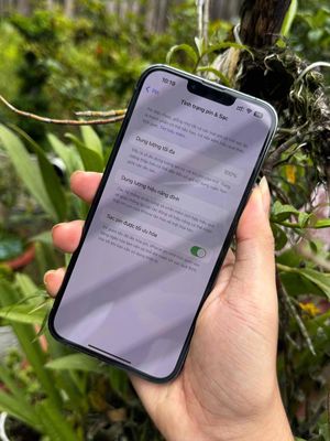 13promax 256gb bh xanh trắng 3T. Mua bán Điện thoại tại Thành phố Long Xuyên An Giang được đăng bởi Anh Táo 