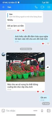 Vựa sầu riêng