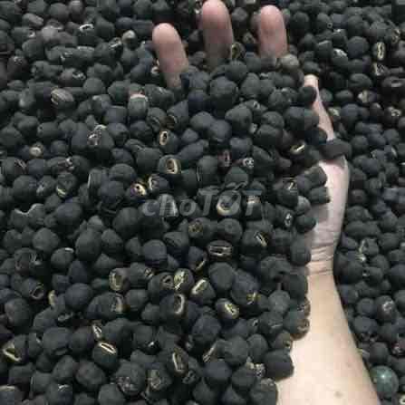 Hạt chuối cô đơn. Mua bán Đồ ăn, thực phẩm và các loại khác tại Quận Thanh Khê Đà Nẵng được đăng bởi Bùi Quang Thắng hình 1