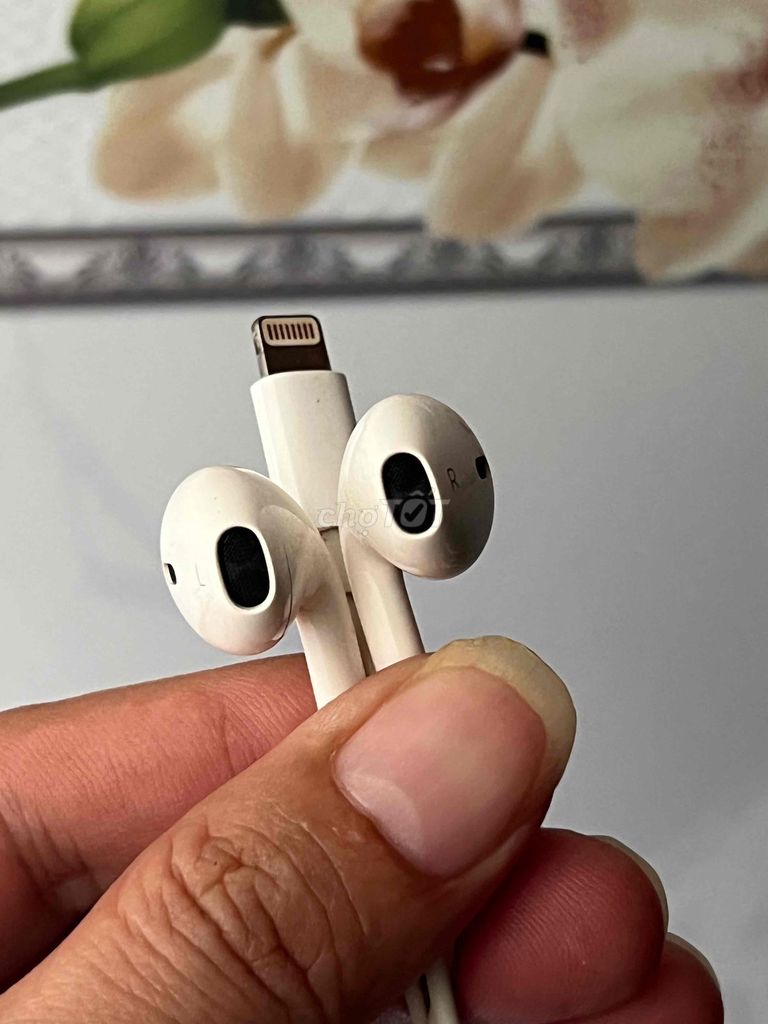 Tai nghe Apple EarPods Lightning zin hãng. Mua bán Tivi, Âm thanh tại Quận Tân Phú Tp Hồ Chí Minh được đăng bởi Trịnh Nguyên  hình 1