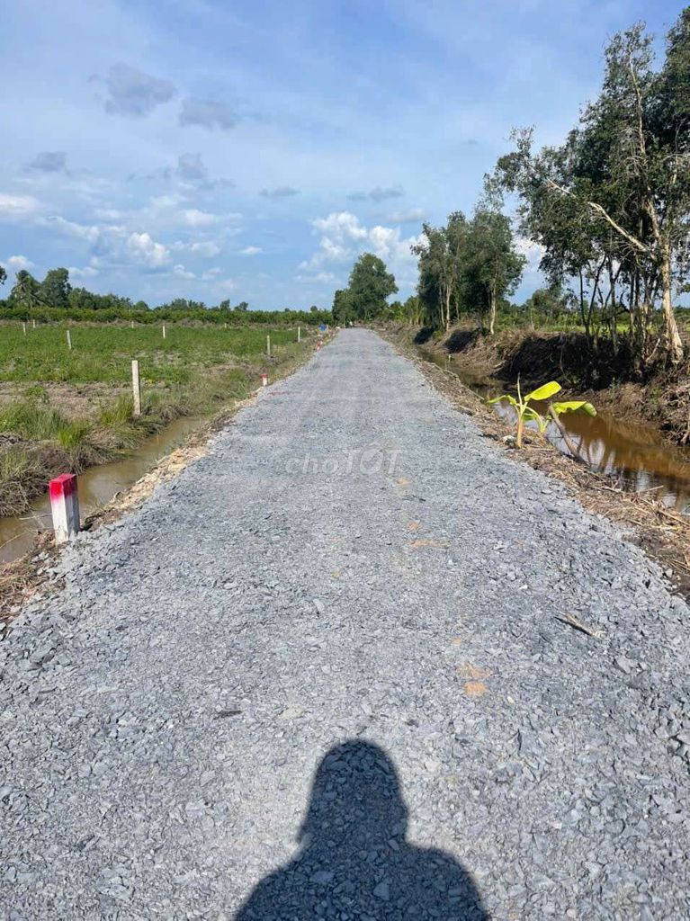 Hàng ngộp, 500m2 đất vườn view kênh đường ô tô chỉ 460tr. Mua bán đất tại Huyện Bến Lức Long An được đăng bởi Hùng Lê hình 5