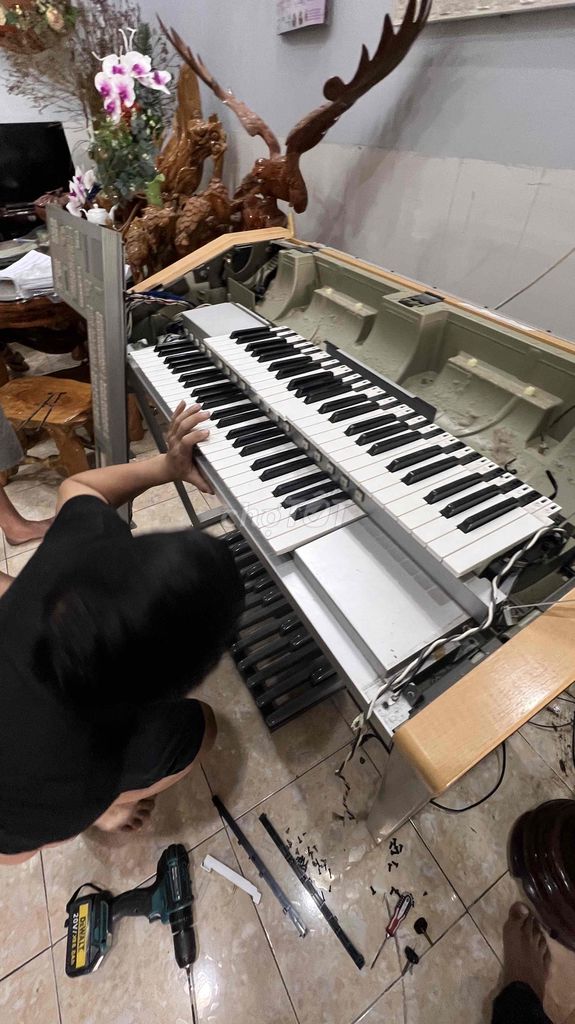 Chuyên Nhận Sửa Piano, Organ Nhà Thờ Biên Hoà