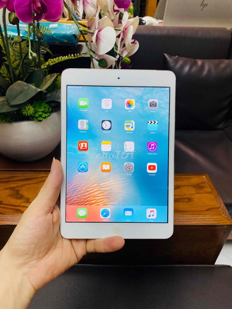 I PAD MINI MÁY ZIN DÙNG GIẢI TRÍ TỐT