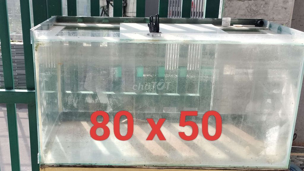 Bể cá cảnh kính 80x50 cm đã sử dụng. Mua bán Phụ kiện, Thức ăn, Dịch vụ tại Huyện Trảng Bom Đồng Nai được đăng bởi giang hình 1