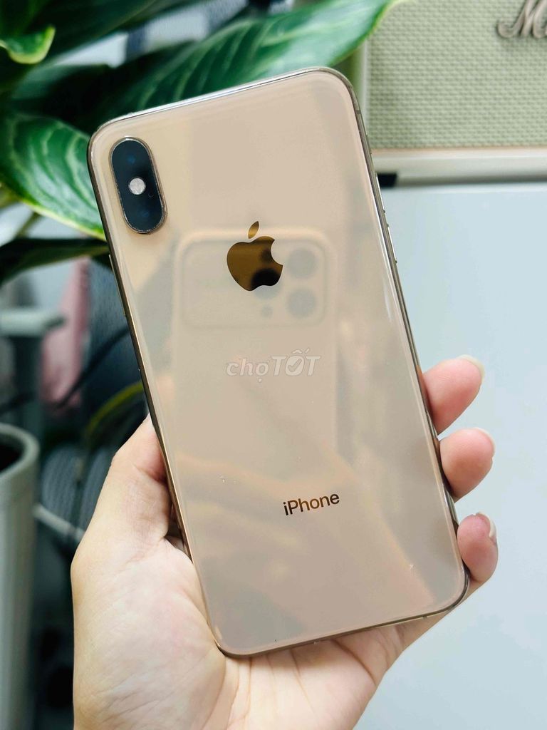 Thanh Lý iPhone xs 64Gb Quốc Tế. Mua bán Điện thoại tại Quận 10 Tp Hồ Chí Minh được đăng bởi Ngọng Store hình 1
