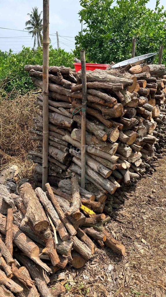 Củi gỗ vú sữa 6 thước. Mua bán Nội thất, đồ gia dụng khác tại Huyện Cái Bè Tiền Giang được đăng bởi Minh hình 1
